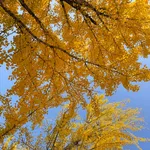 사랑하는 소년이