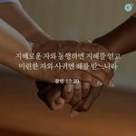 비엔나10