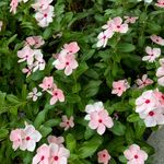 아쉬워벌써12시