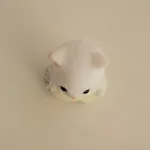 책은인생의스승