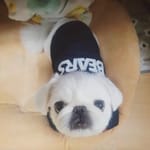SimonKim