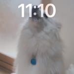ㅇㅇ