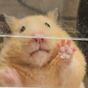 장민서