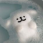 사백어