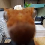10401 김가영