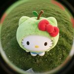 동백