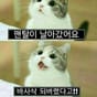 20508 유지수