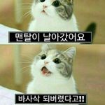 20508 유지수