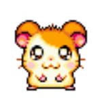 햄
