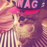 츠..໒꒱ིྀ