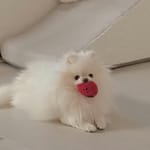 Wonwoni05