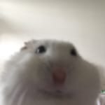 유덩이