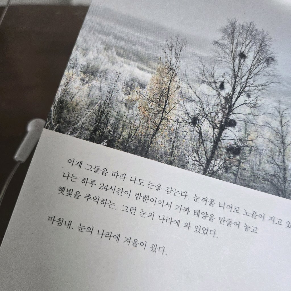 스누즈님의 그리움은 모두 북유럽에서 왔다 게시물 이미지