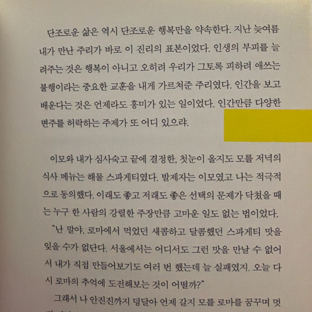 여름님의 모순 게시물 이미지