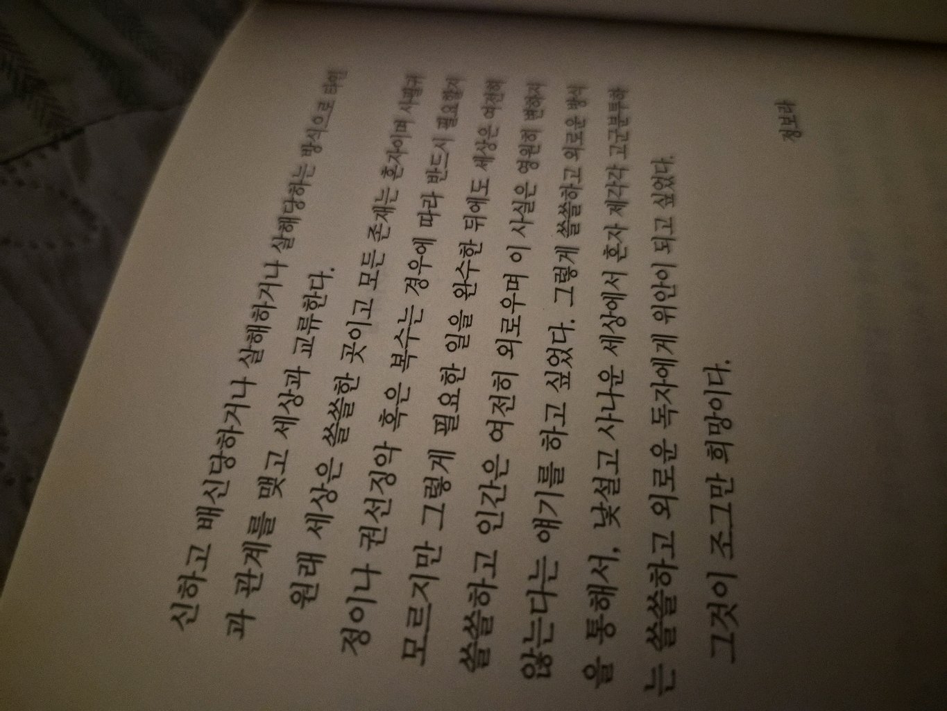 SIA님의 저주토끼 게시물 이미지