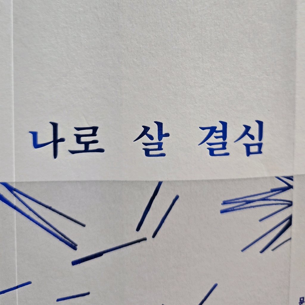 비인님의 나로 살 결심 게시물 이미지