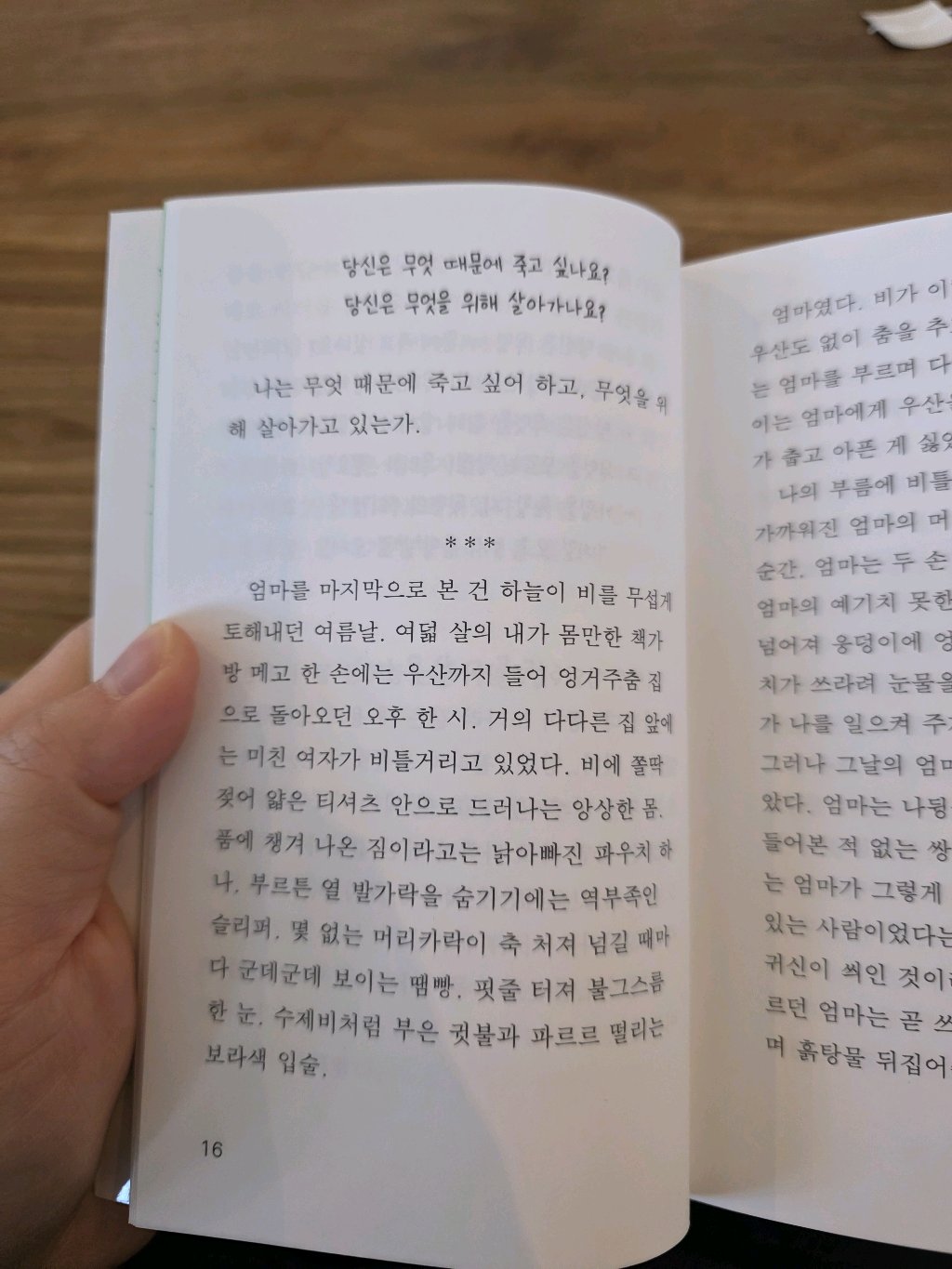 유딩님의 자몽살구클럽 게시물 이미지
