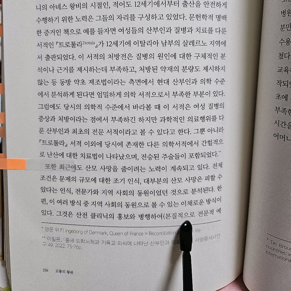 주진숙님의 고통의 왕관 게시물 이미지
