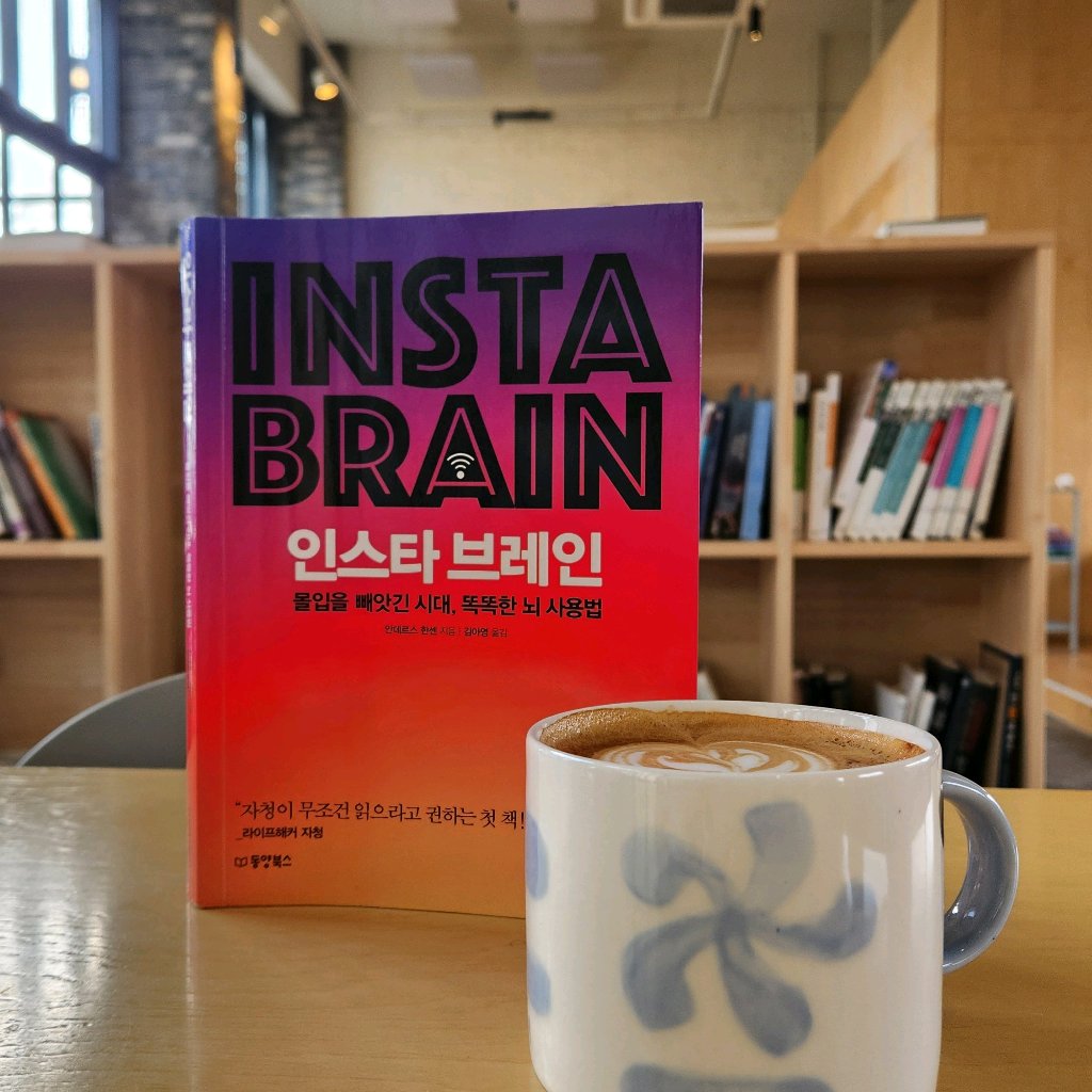 욜님의 인스타 브레인 =몰입을 빼앗긴 시대, 똑똑한 뇌 사용법 /Insta brain 게시물 이미지