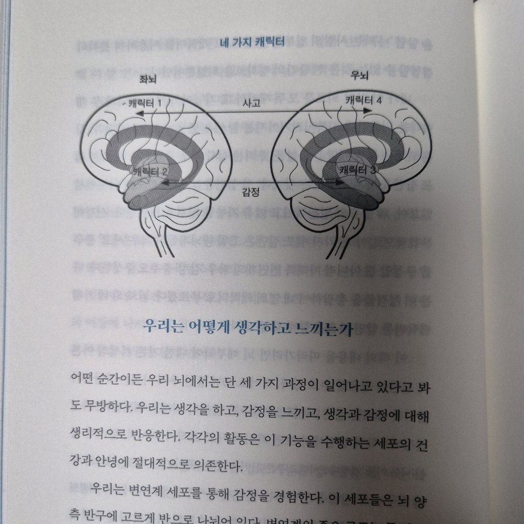 LIA님의 나를 알고 싶을 때 뇌과학을 공부합니다 게시물 이미지