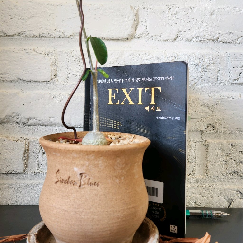 욜님의 엑시트 =Exit 게시물 이미지