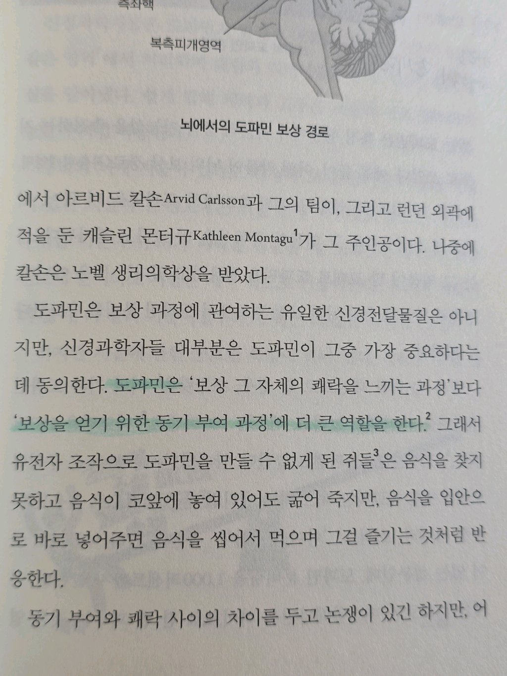 유딩님의 도파민네이션 게시물 이미지