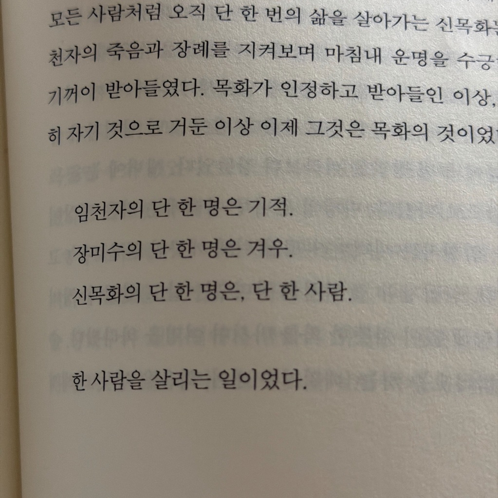 zizi님의 단 한 사람 게시물 이미지