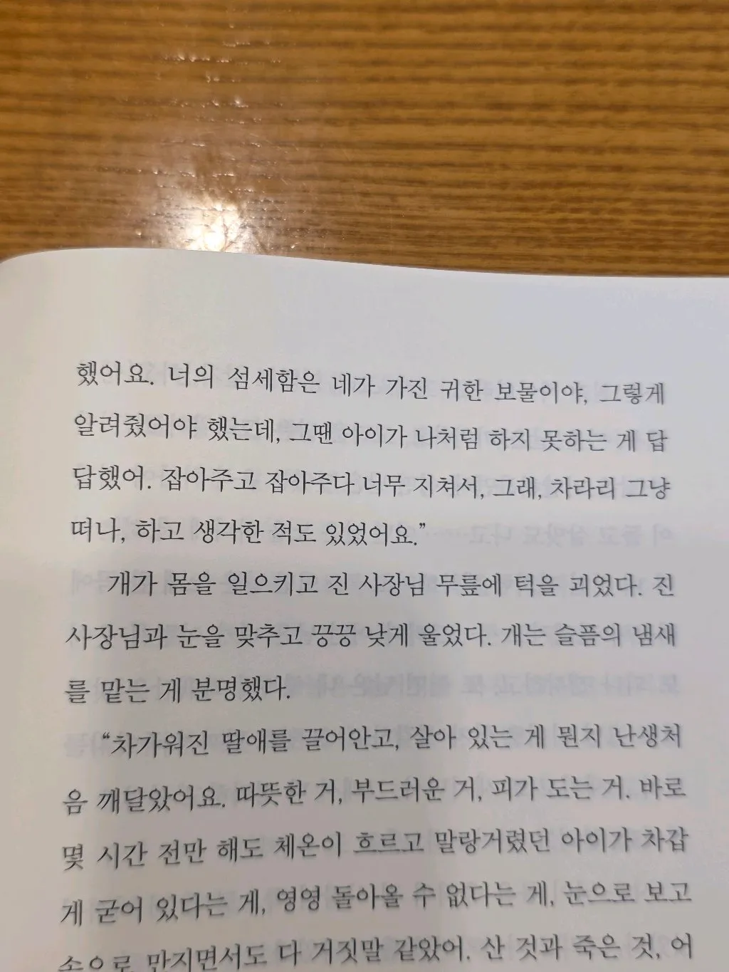 유딩님의 말라가의 밤 게시물 이미지