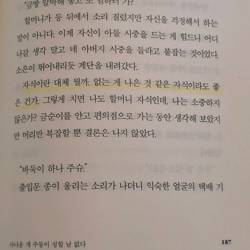 유딩님의 갑수동 도그 워커 클럽 게시물 이미지