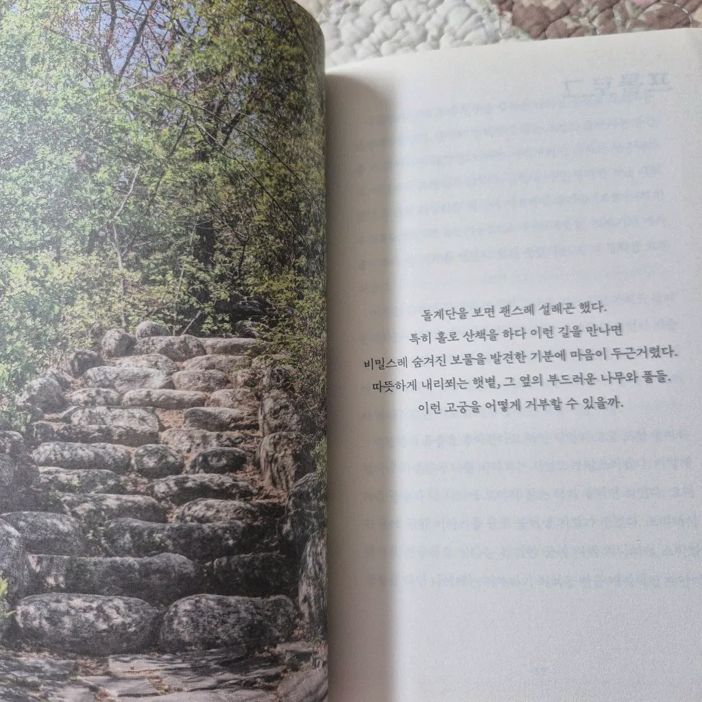 슈아이님의 아주 사적인궁궐 산책 게시물 이미지