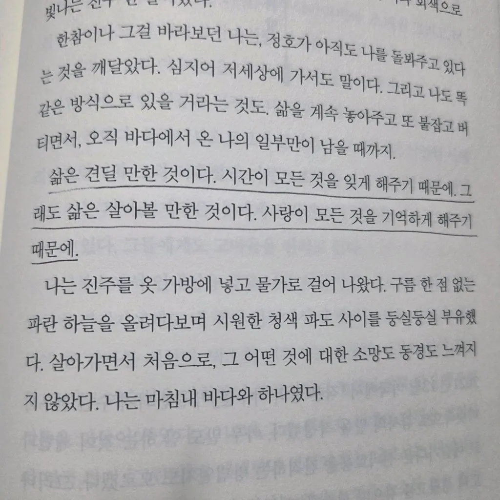 뭐하지님의 작은 땅의 야수들 게시물 이미지