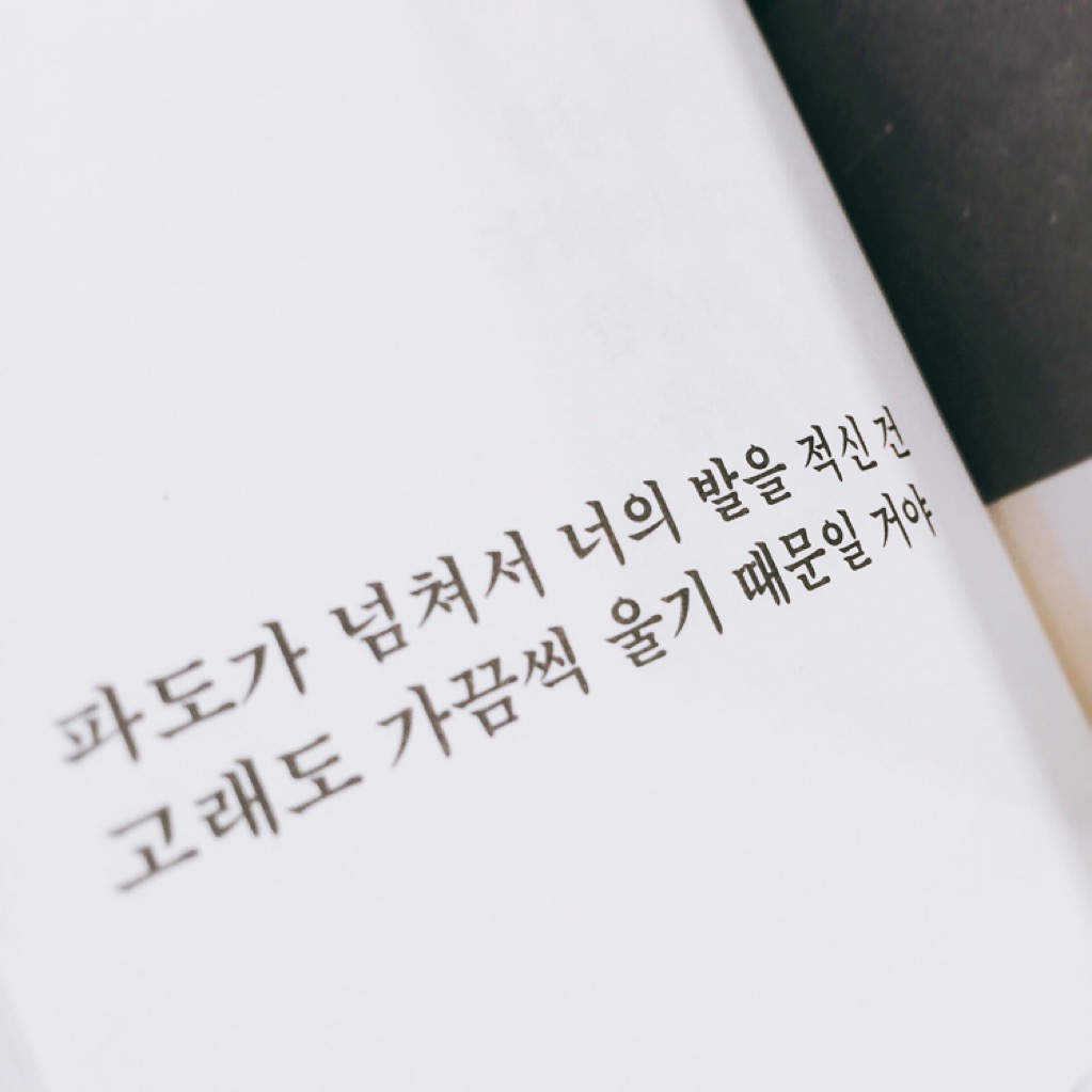 빵소금님의 눈물이 마르면 화분 하나를 사요 게시물 이미지