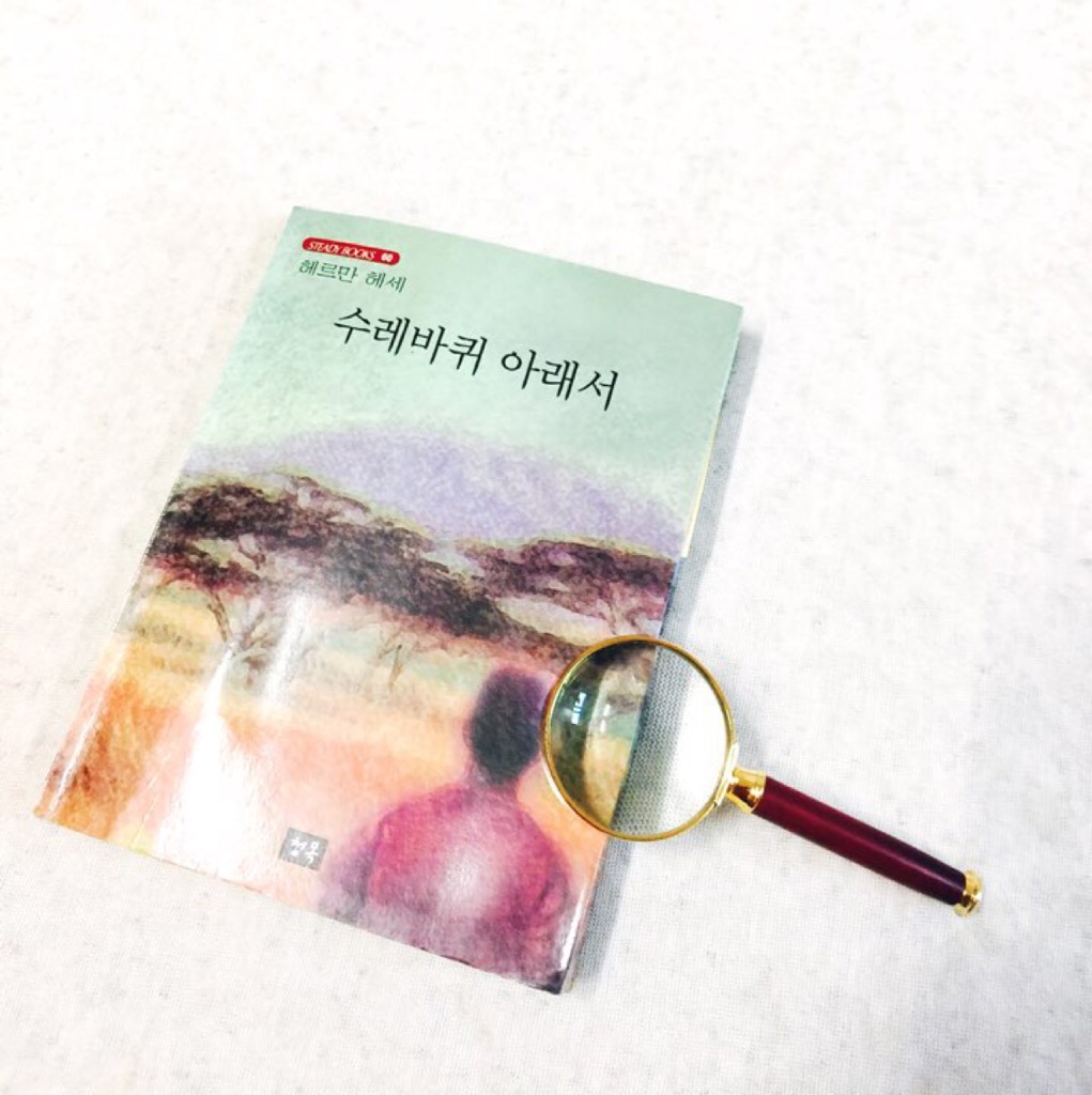 권민창님의 수레바퀴 아래서 게시물 이미지