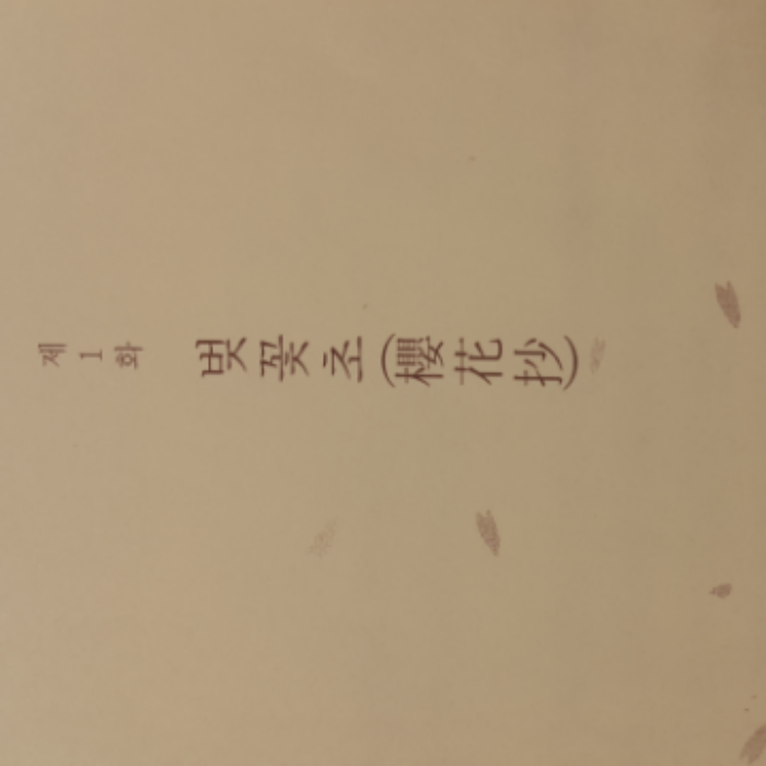 다루다루님의 초속 5센티미터 one more side 게시물 이미지