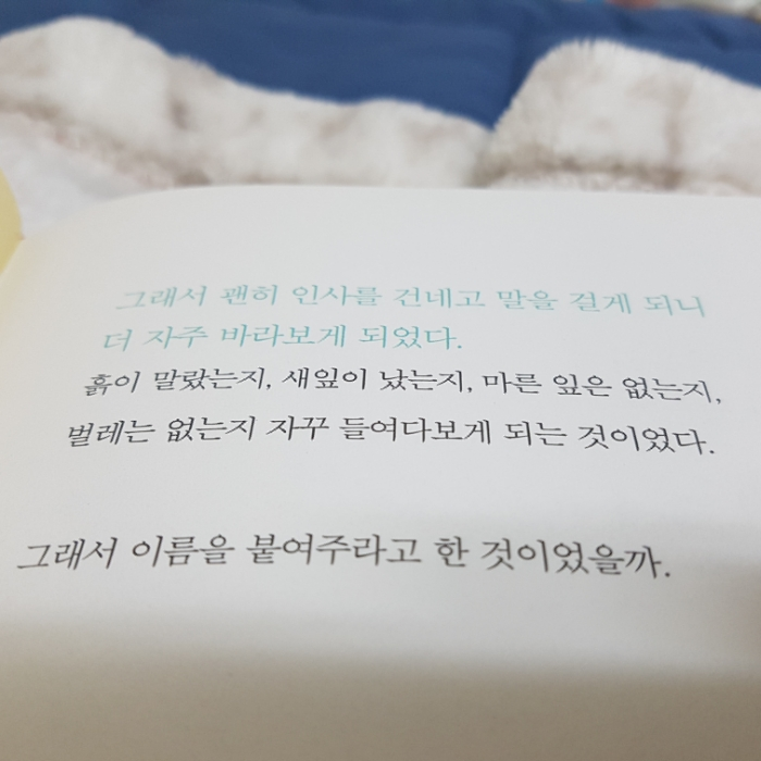 효님의 공간의 온도 게시물 이미지