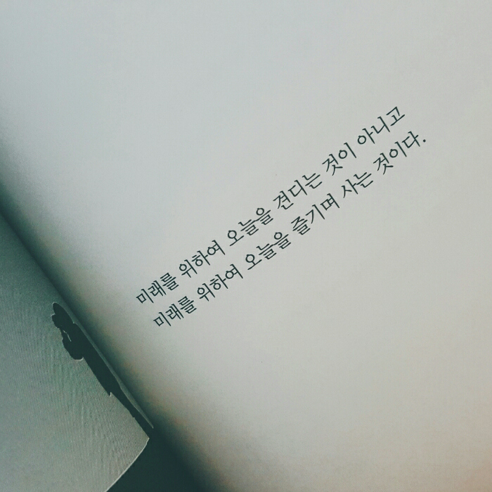 샐님의 LOVE & FREE 게시물 이미지