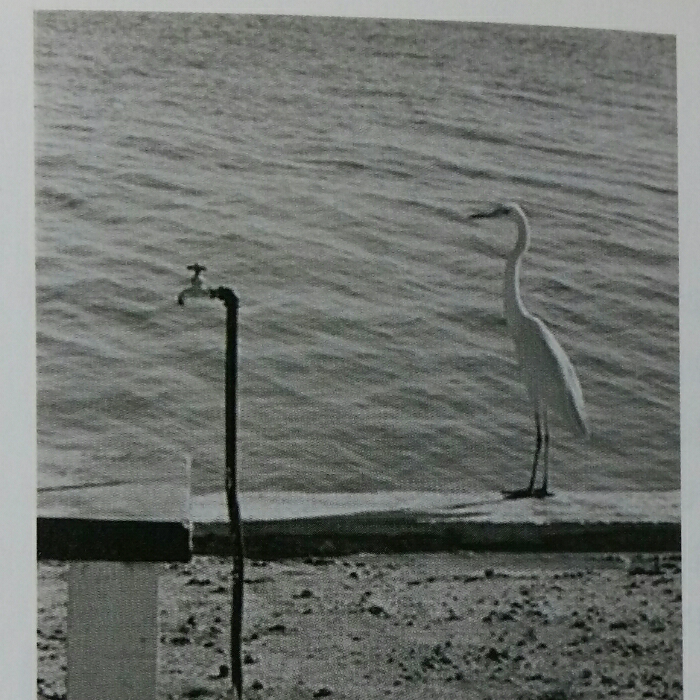 Ha JaeSeon님의 파리 미술관 산책 게시물 이미지