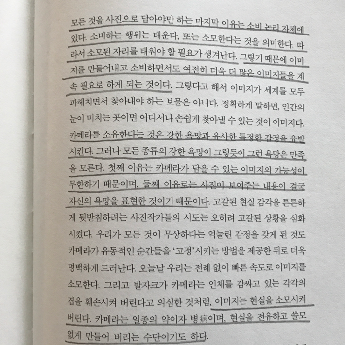 Yeji Margo Lee님의 사진에 관하여 게시물 이미지