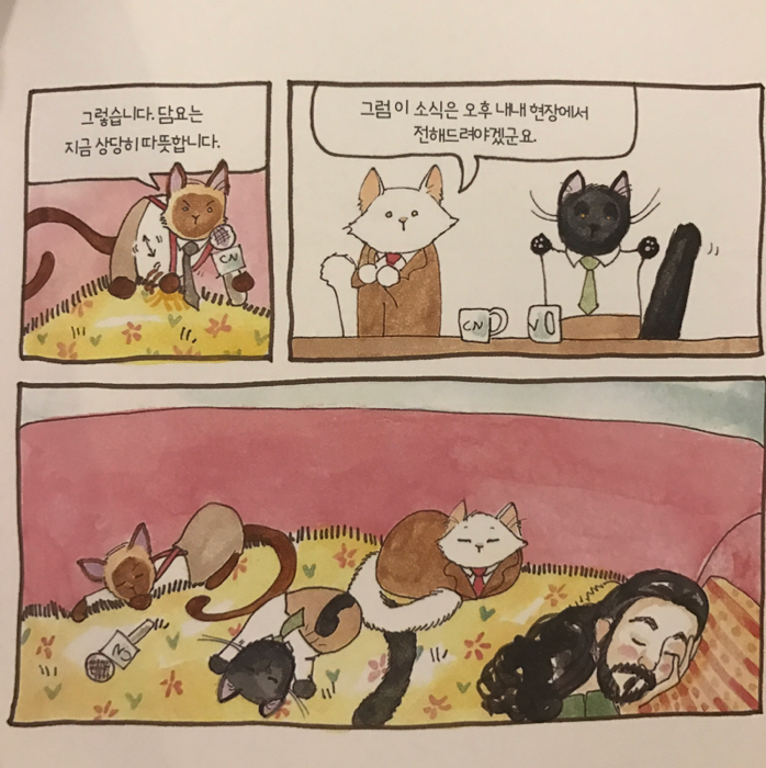 채은님의 집사, 밥그릇이 비었다옹 게시물 이미지