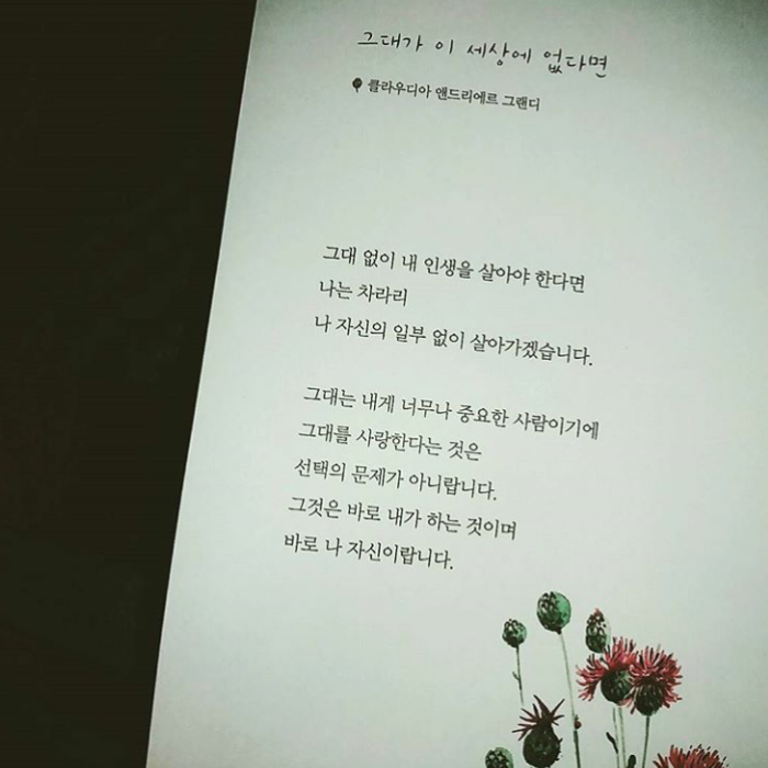 이채현님의 사랑시 100선 게시물 이미지