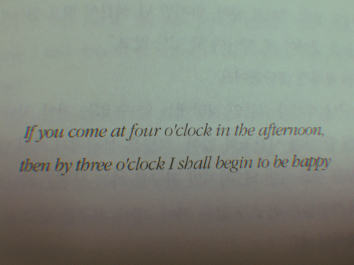 최유정님의 어린왕자 게시물 이미지