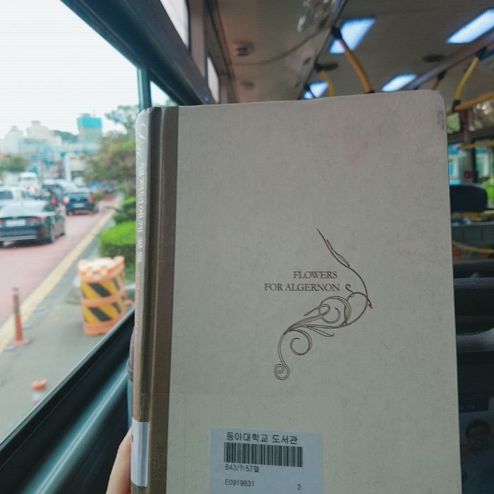 예지니야님의 앨저넌에게 꽃을 게시물 이미지