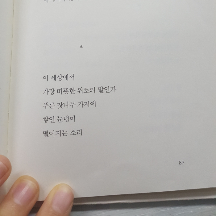 홍란님의 순간의 꽃 게시물 이미지