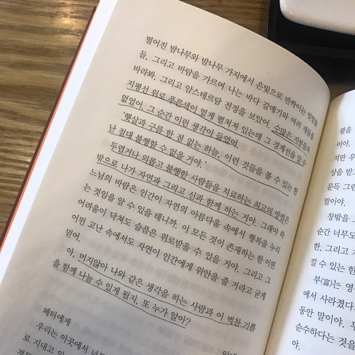 안나님의 안네의 일기 게시물 이미지