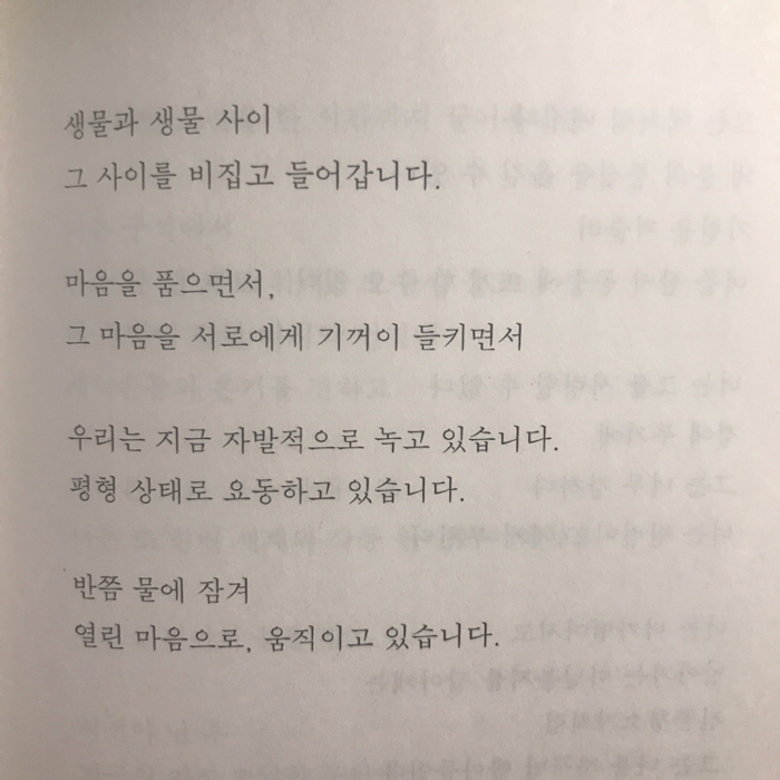 채은님의 우리는 분위기를 사랑해 게시물 이미지