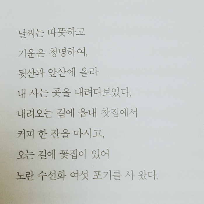 오유나님의 안목의 성장 게시물 이미지