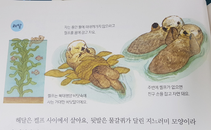 치즈캣님의 사소한 구별법 게시물 이미지