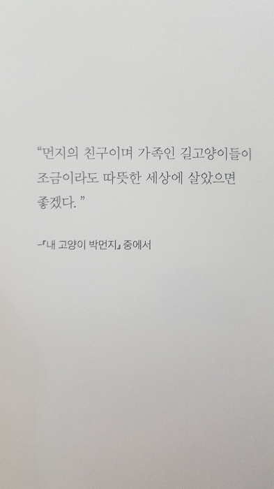 여온님의 내 고양이 박먼지 게시물 이미지
