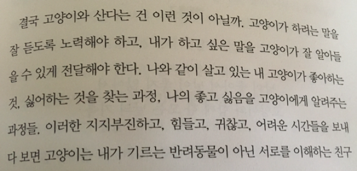 여온님의 고양이의 주인이 되어보았습니다 게시물 이미지