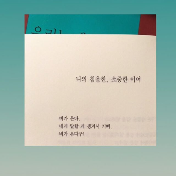읽찌리님의 나의 침울한, 소중한 이여 게시물 이미지